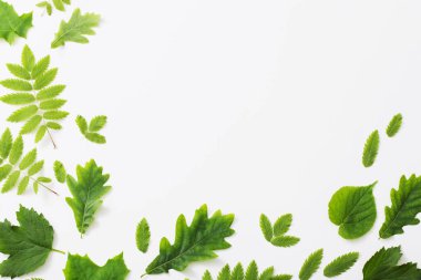 Kağıt arkaplanda yeşil yapraklar