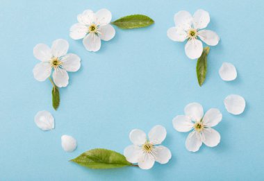 Kağıt arka plan üzerinde kiraz çiçekleri