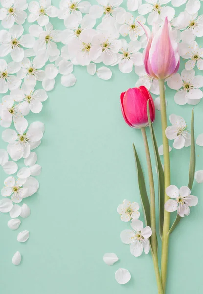 Piękne Wiosenne Kwiaty Papierze Tle — Zdjęcie stockowe
