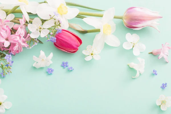 Hermosas Flores Primavera Sobre Fondo Papel — Foto de Stock