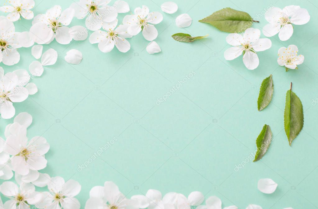 cherry flowers on paper background