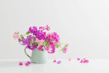 sürahi beyaz arka plan üzerinde güzel floxes