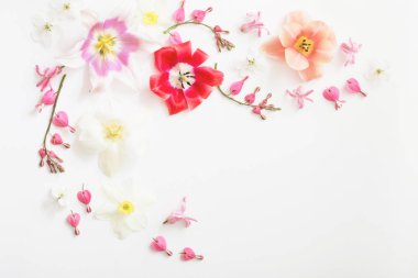 beyaz arkaplanda bahar çiçekleri