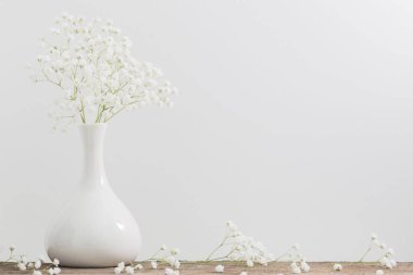 Gypsophila beyaz arka plan üzerinde