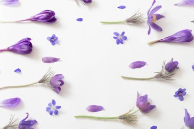 Mor çiçekler üzerinde beyaz bir arka plan bahar