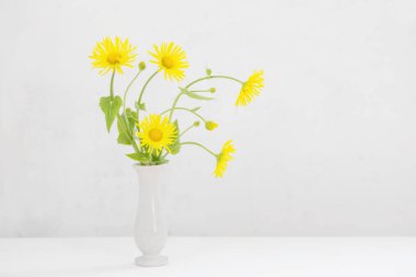 beyaz zemin üzerine sarı papatya