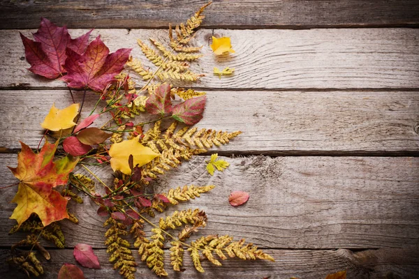 Herfst Bladeren Houten Achtergrond — Stockfoto