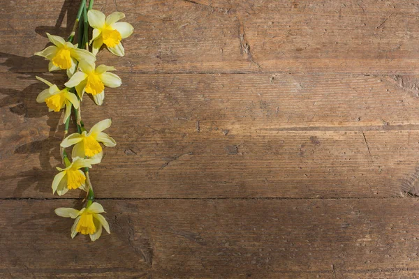 Yellow Narcissus Old Wooden Background — Stock Photo, Image