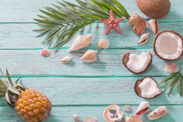 Summer Background Coconuts — Stock Photo, Image