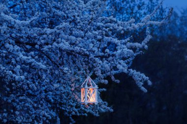 Bahar kiraz ağacı üzerinde mum yanan ile fener