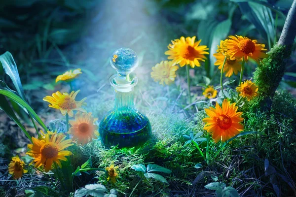 Волшебное Зелье Бутылке Лесу — стоковое фото