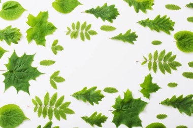 Kağıt arkaplanda yeşil yapraklar