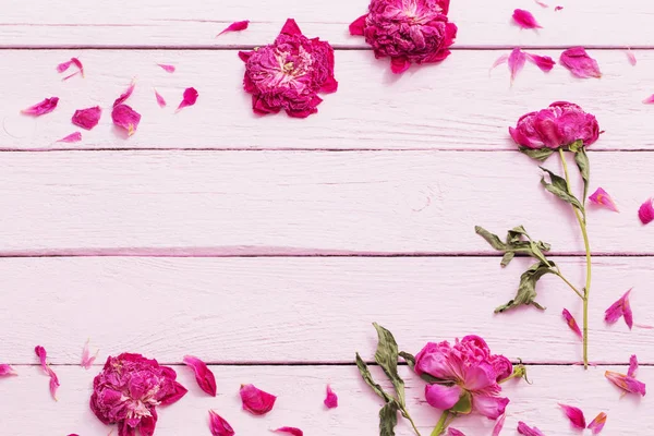 Flores Secas Sobre Fondo Madera Rosa — Foto de Stock