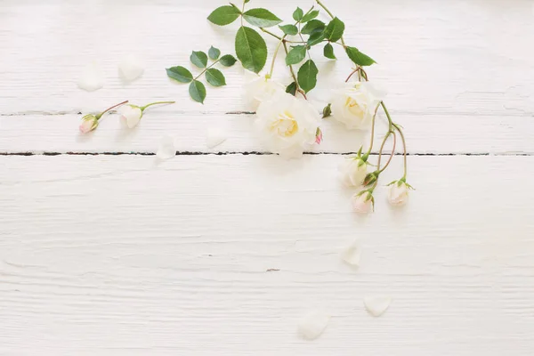 Roses White Wooden Background — Stock Photo, Image