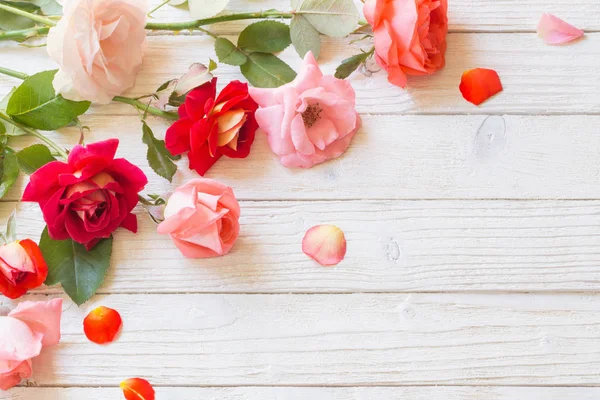 Rosas Sobre Fondo Blanco Madera — Foto de Stock