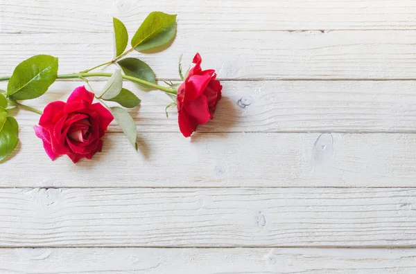 Růže Bílém Pozadí Dřevěná — Stock fotografie