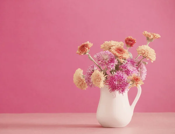 ピンクの背景に白い水差しの菊の花 — ストック写真
