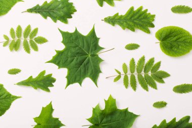 Kağıt arkaplanda yeşil yapraklar