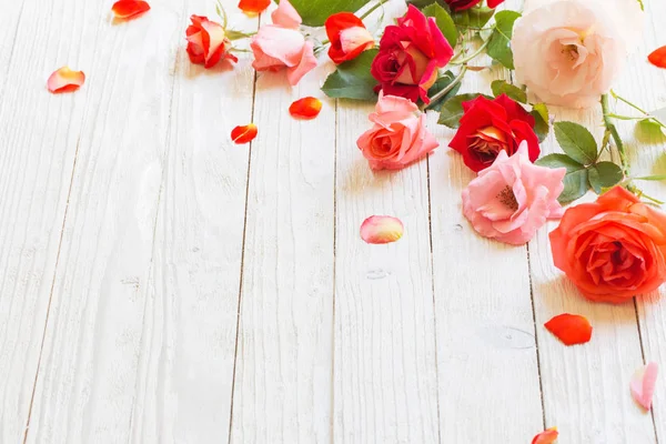 在木制的白色背景上的玫瑰 — 图库照片