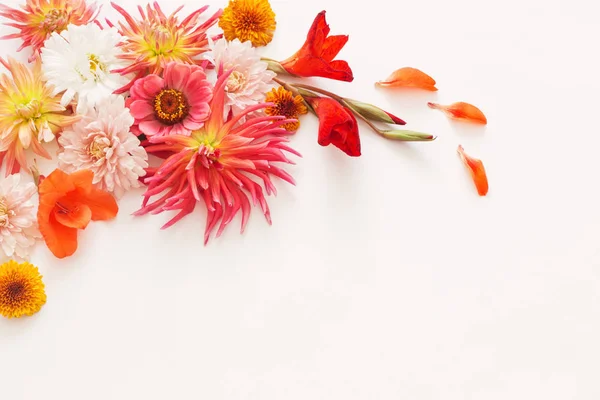 Beyaz arka plan üzerinde sonbahar çiçekler