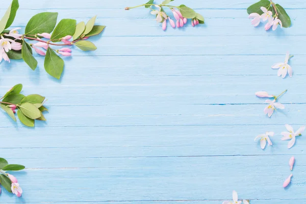 Bush ahşap arka plan üzerinde pembe çiçekli dalları