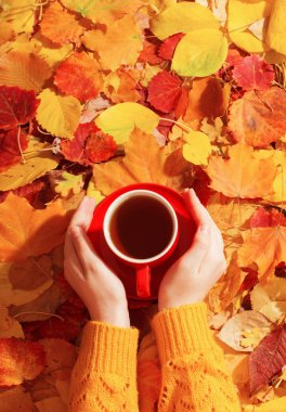 arka plan sonbahar yaprakları üzerinde elinde fincan kırmızı