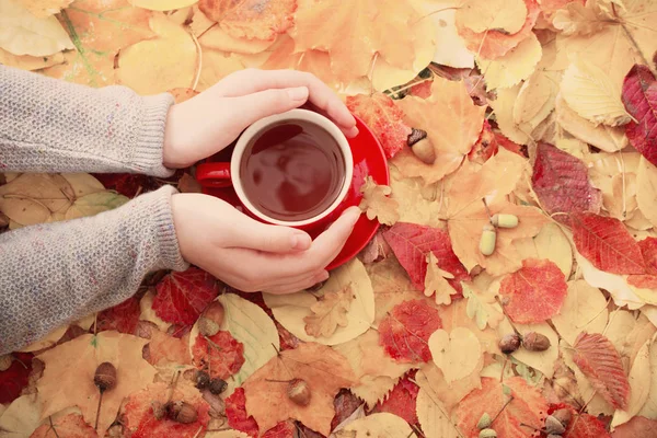 arka plan sonbahar yaprakları üzerinde elinde fincan kırmızı