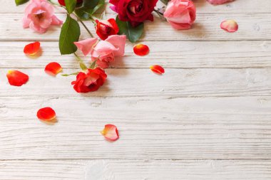 Gül Beyaz ahşap zemin üzerinde