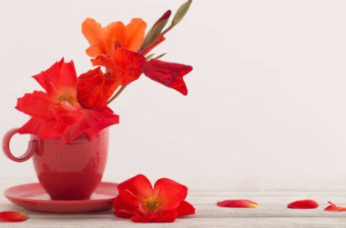 Kupası beyaz zemin üzerine kırmızı çiçekler