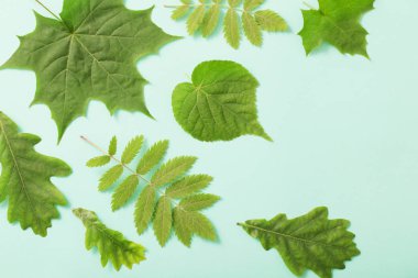 Kağıt arkaplanda yeşil yapraklar