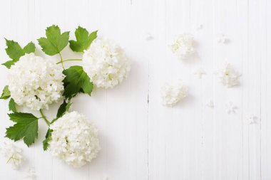 ahşap arka plan üzerinde dekoratif kartopu