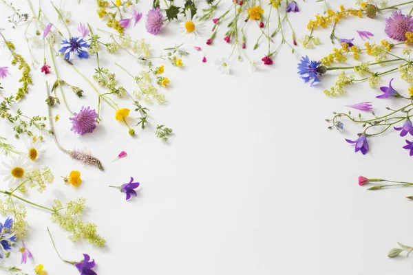 Beyaz Kağıt arka plan üzerinde yaz çiçek