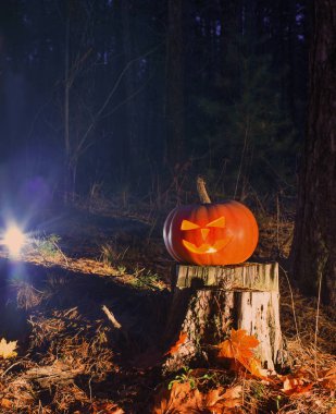 Cadılar Bayramı Balkabağı gece ormanda