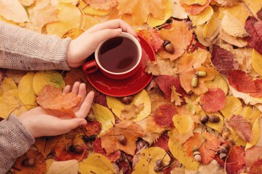 arka plan sonbahar yaprakları üzerinde elinde fincan kırmızı