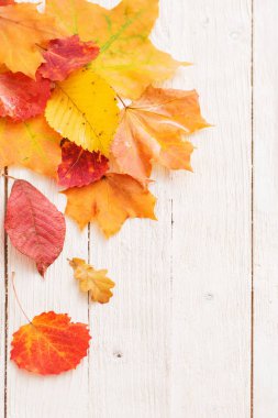 Beyaz ahşap zemin üzerinde sonbahar yaprakları