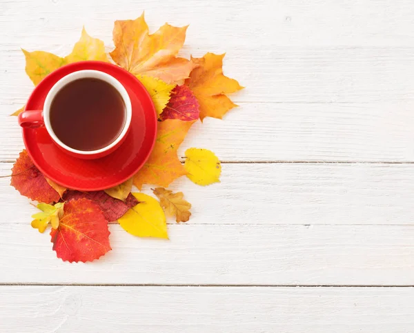 秋の赤カップに茶葉白い木製のテーブルの上 — ストック写真