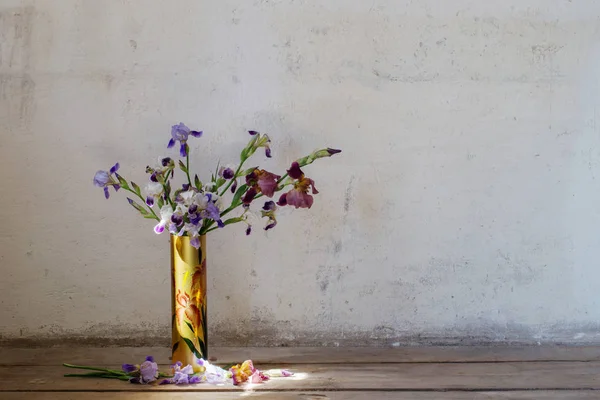 Iris Vase Background Old White Wall — Stock Photo, Image