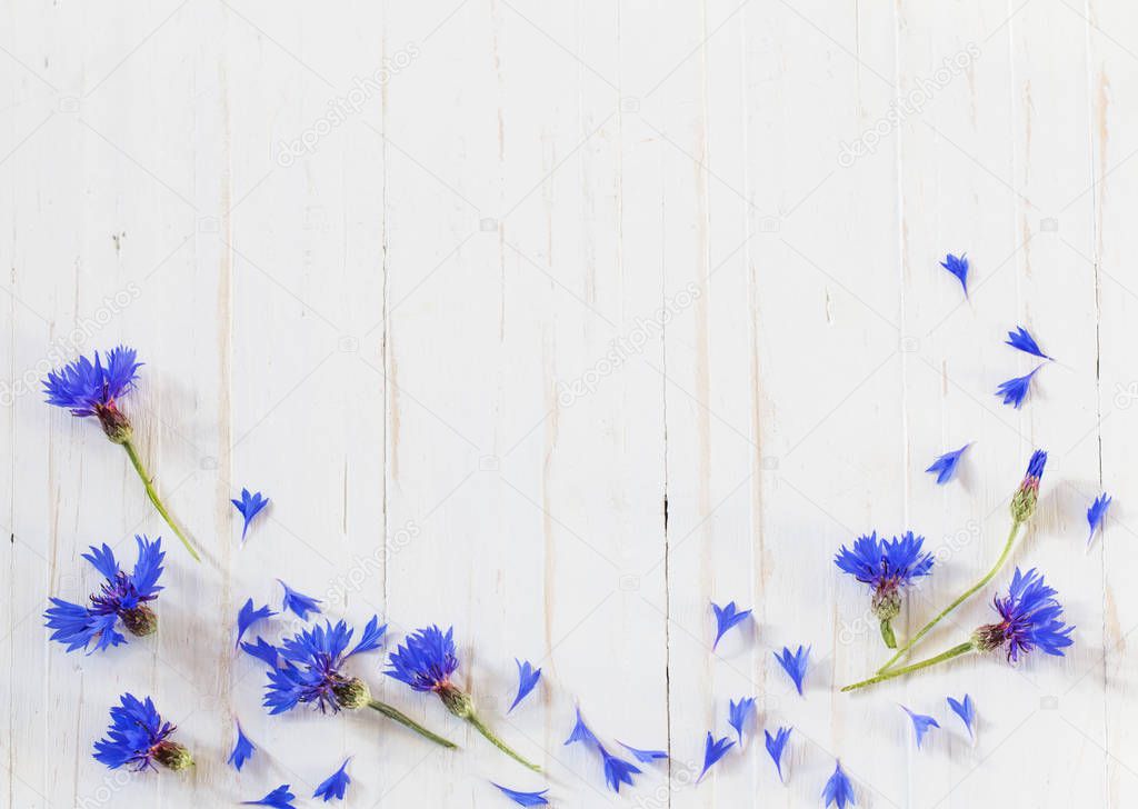 cornflowers on white wooden background