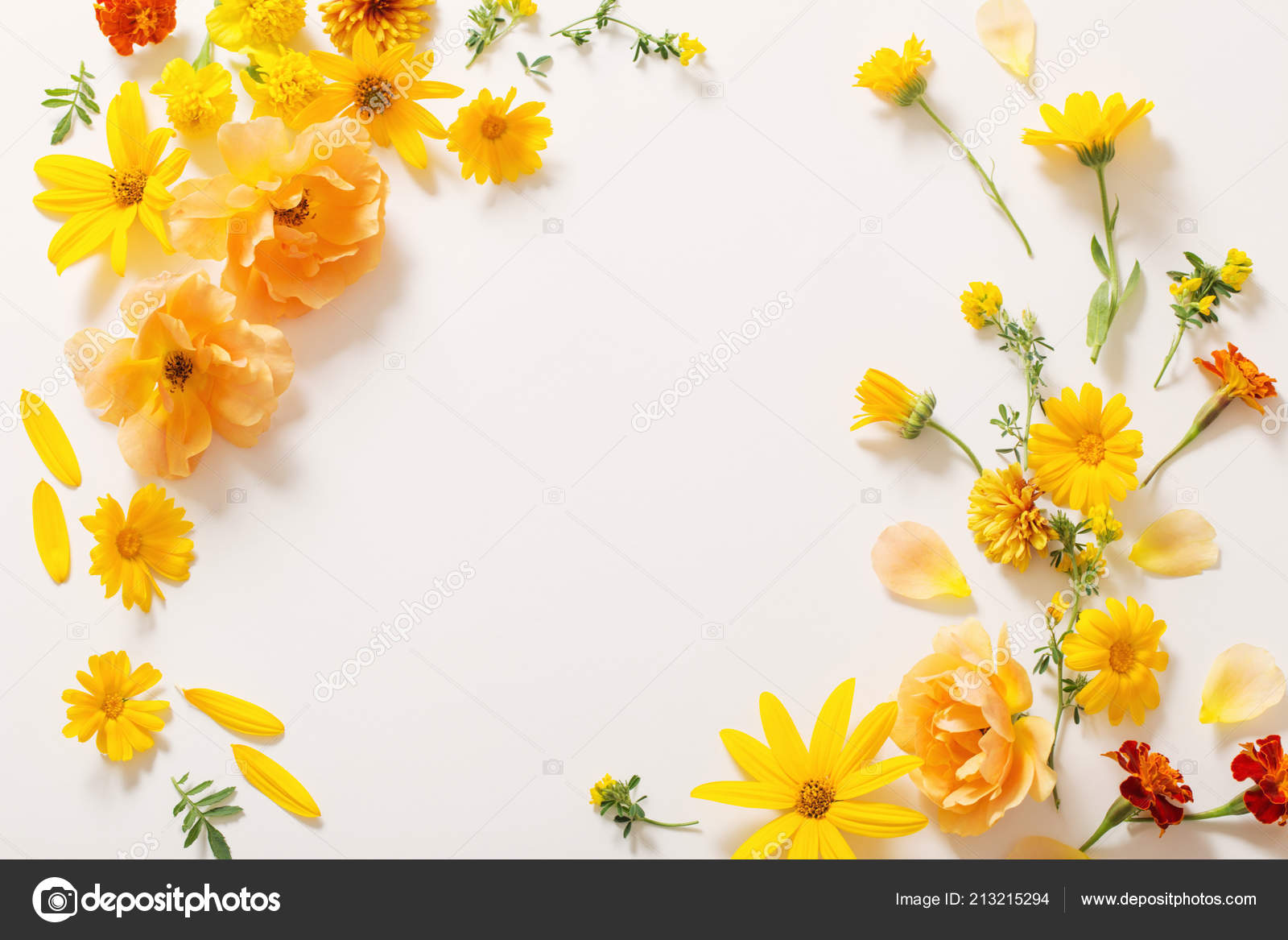 Flores Amarelas Cor Laranja Fundo Branco — Foto © Kruchenkova #213215294, image size:1600x1167