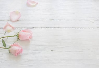 Beyaz ahşap arka planda pembe güller