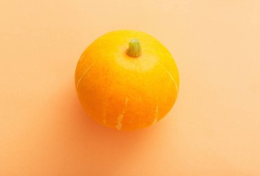 turuncu renk arka plan üzerinde kabak