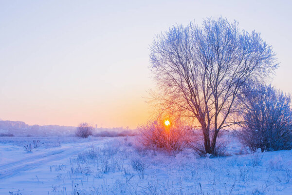 красивый зимний пейзаж
