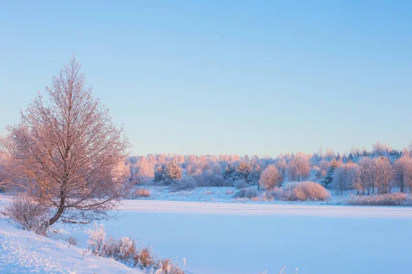 Vintermorgon Med Snö Och Frost — Stockfoto