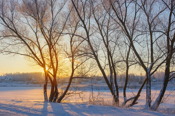 winter morning with snow and frost