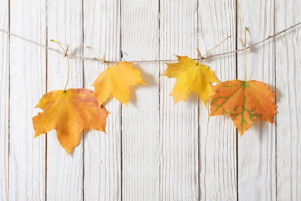 Colour Autumn Leaves Wooden Background — Stock Photo, Image