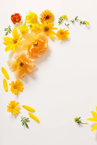 Gula Och Orange Blommor Vit Bakgrund — Stockfoto