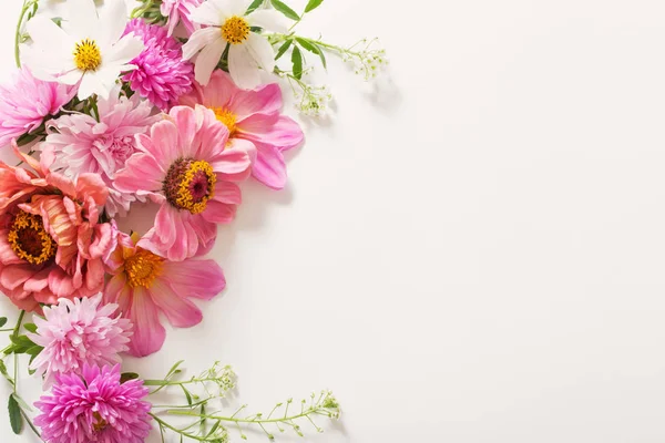 白い背景の美しいピンクの花 — ストック写真