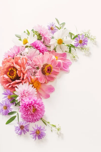 Hermosas Flores Rosadas Sobre Fondo Blanco — Foto de Stock