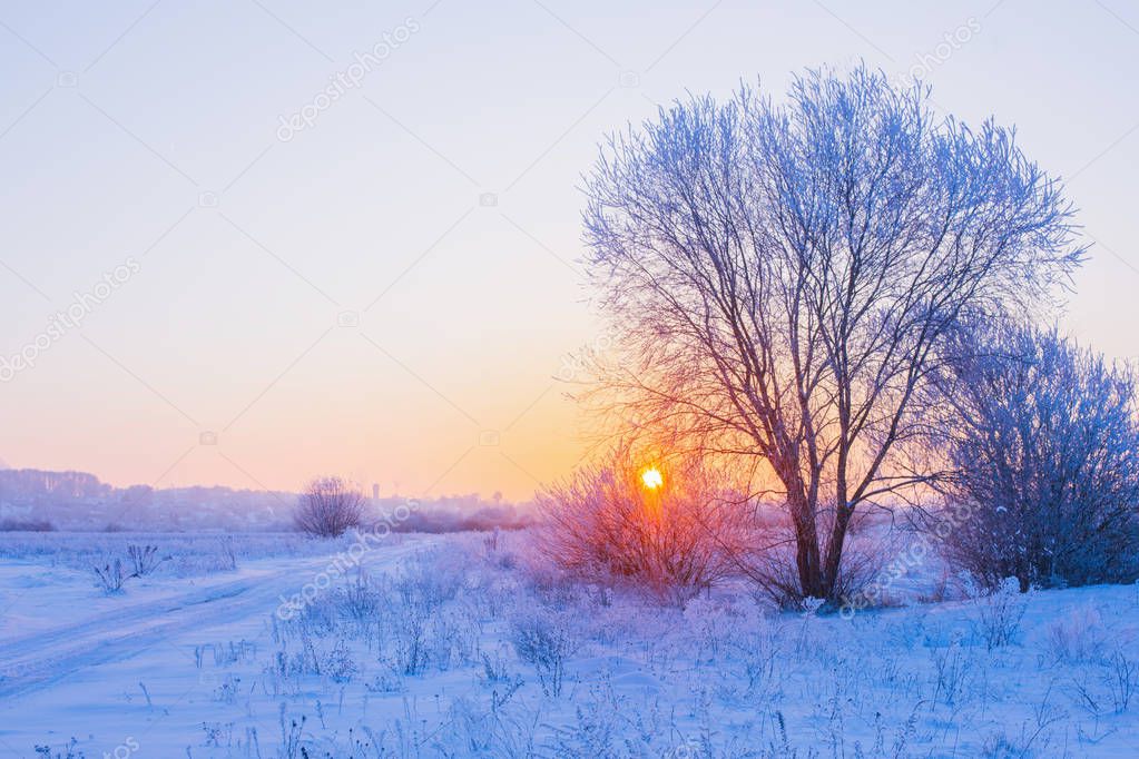 the beautiful winter landscape