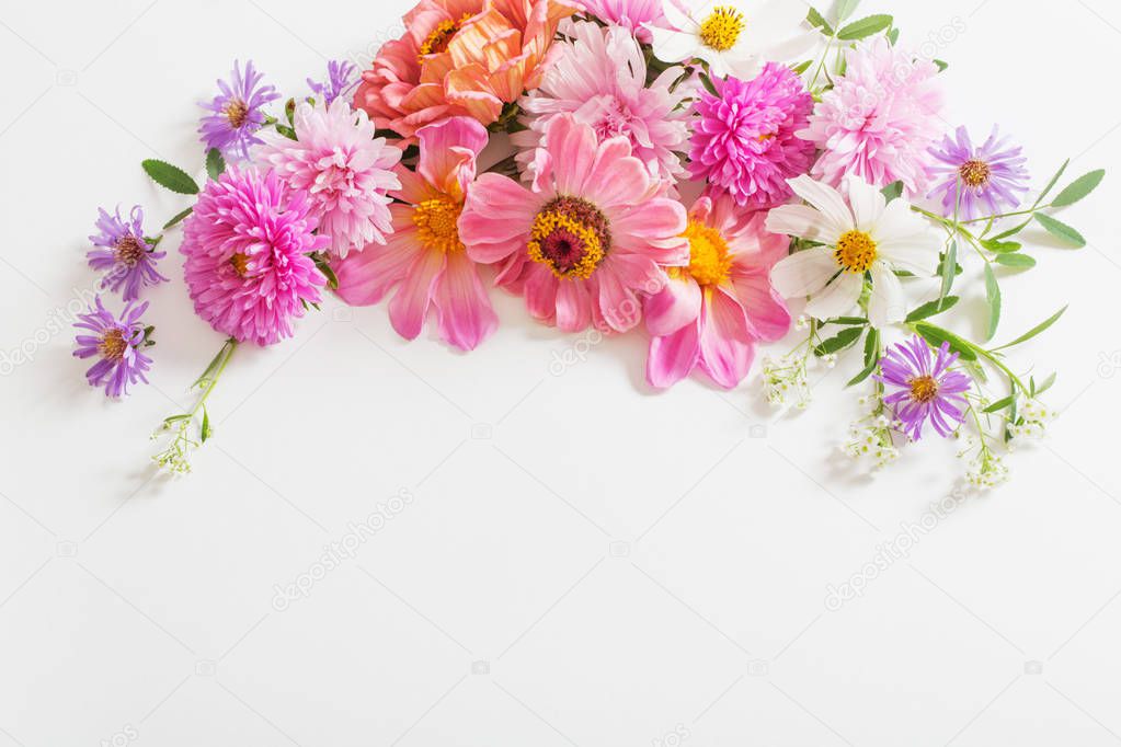 beautiful pink flowers on white background
